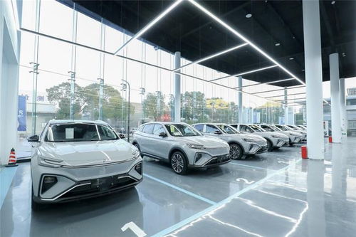 飞凡汽车的非凡服务 开启高品质个性化汽车服务新体验