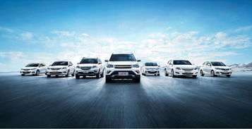 泸州万友公司 专业汽车服务，值得信赖的合作伙伴